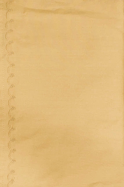 Appealing Beige Color Cotton Border Embroidery Work Women's Petticoat Near Me