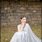 Gray Colored Soft Georgette With Sequins Work In Chandler
