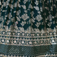Sequins Lehenga Choli In Scottsdale