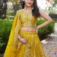 Sequins Lehenga Choli For Women In Chandler