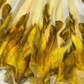 Yellow Color Organza Silk With Print Work Lehenga Choli In USA