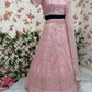 Embroidery Work Lehenga Choli For Women In Mesa