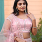 Pink Color Net With Sequins And Zarkan Work Lehenga In USA