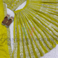 Wedding Lehenga Choli in USA