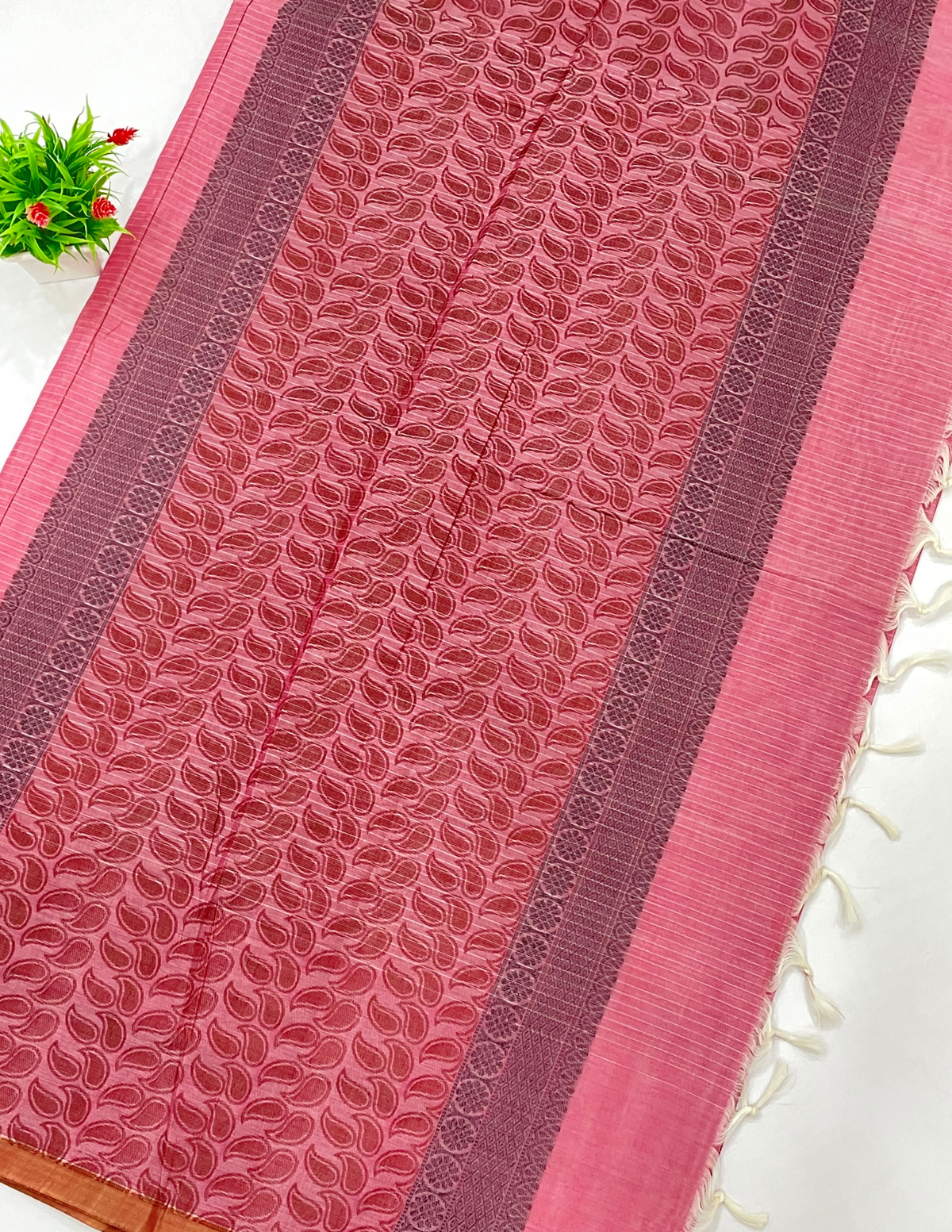 Pink Color Cotton Saree With Printed Work In Mesa