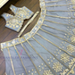 Gray Color Lehenga In Chandler