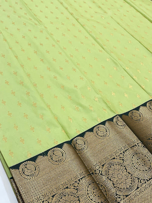 Pista Green Color Pure Kanchi Silk With Gold Zari Work Saree In Suncity