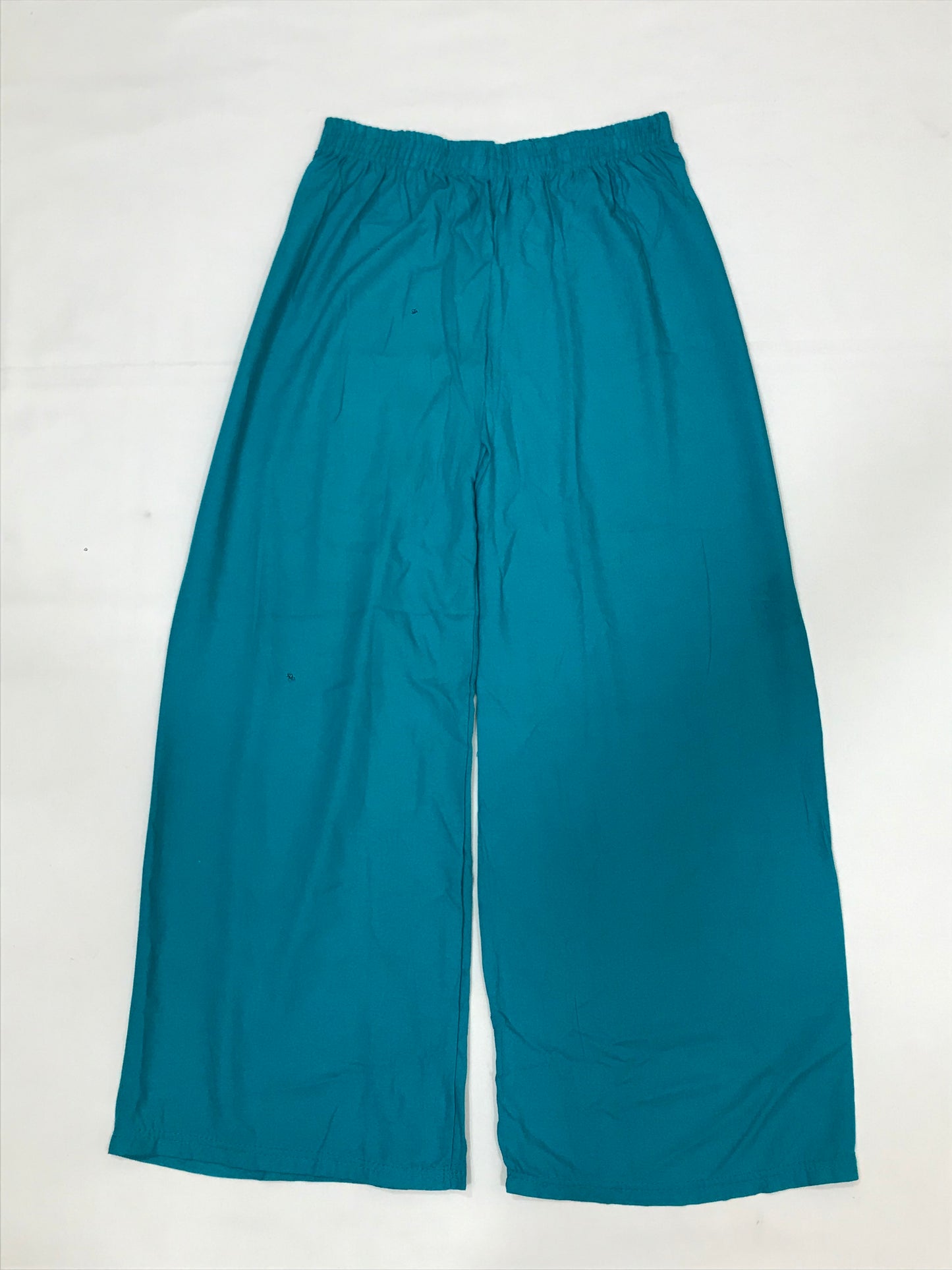 Attractive Blue Colored Rayon Palazzo Pant For Women