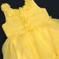 Party Wear Net Frock In Yuma
