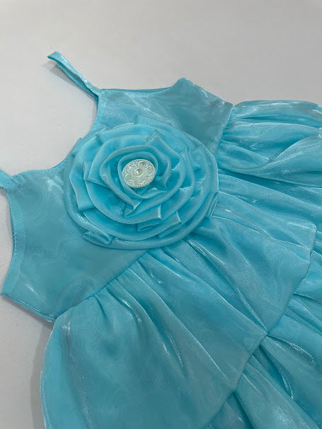 Blue Color Soft Net Gown In USA