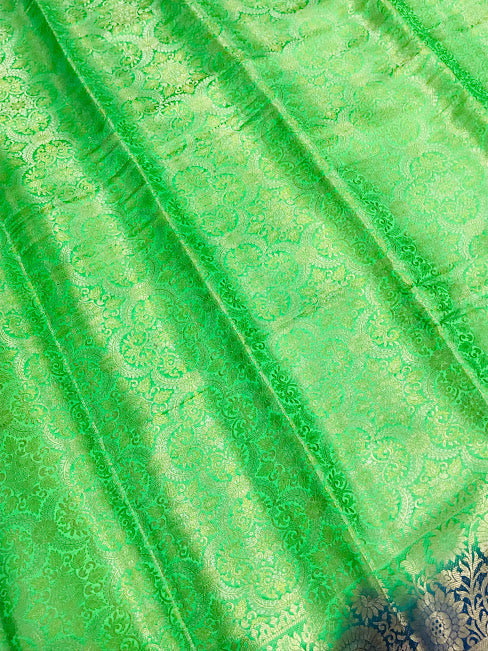 Fabulous Light Green Color Banarasi Soft Silk Saree With Contrast Pallu In Glendale 
