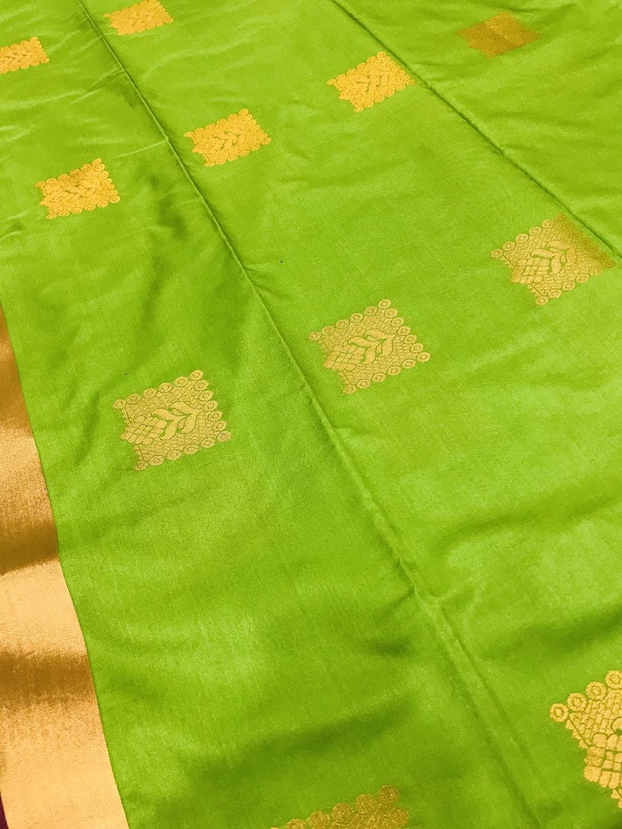 Green With Contrast Border Saree In USA