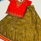 Embroidery Work Girls Lehenga Choli in USA