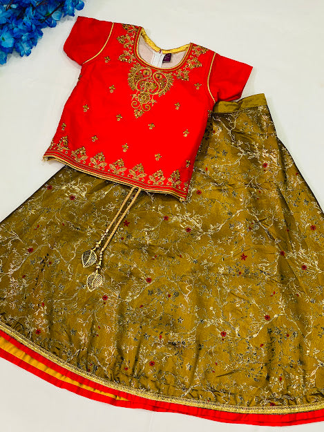 Embroidery Work Girls Lehenga Choli in USA