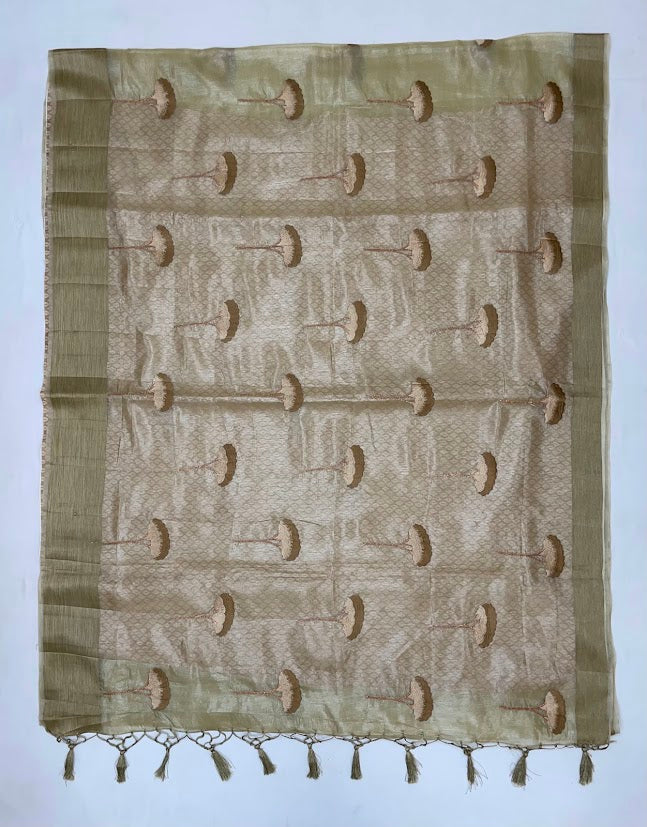 Appealing Beige Color Organza Saree For Women In USA