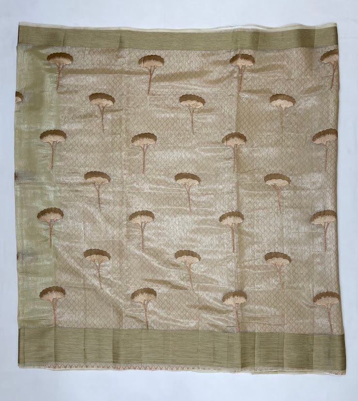 Appealing Beige Color Organza Saree In Mesa