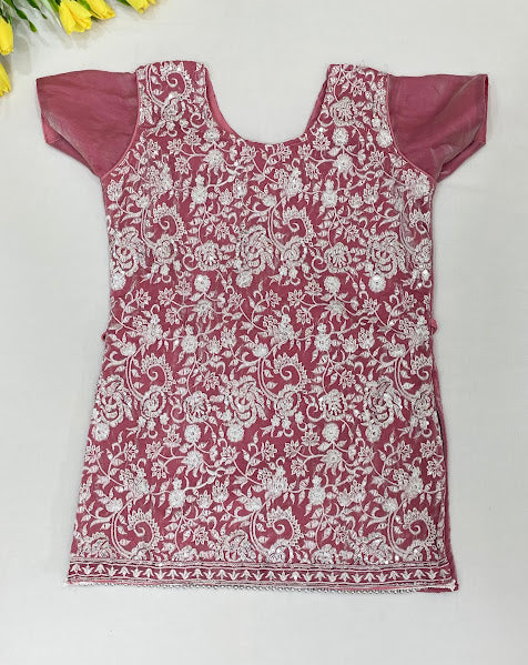 Onion Pink Color Space Silk With Embroidery And Sequins Work In Tempe