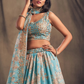 Beautiful Light Blue Color Golden Zari And Sequins Work Lehenga Near Me