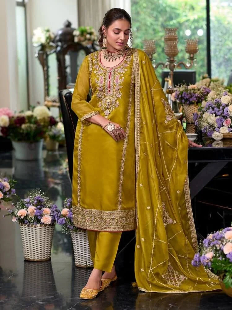 Organza With Zari and Thread Work Salwar Suits in Chandler