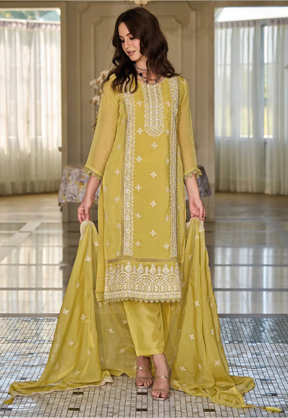  Organza Salwar Suits in Chandler