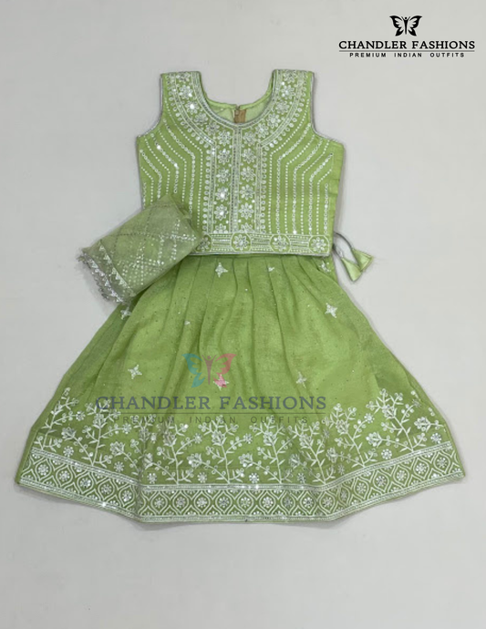 Charming Light Green Color Choli Set With Sequins Work For Girls
