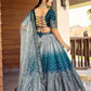 Blue Color With Work Sequins  Lehenga In Casa Grande