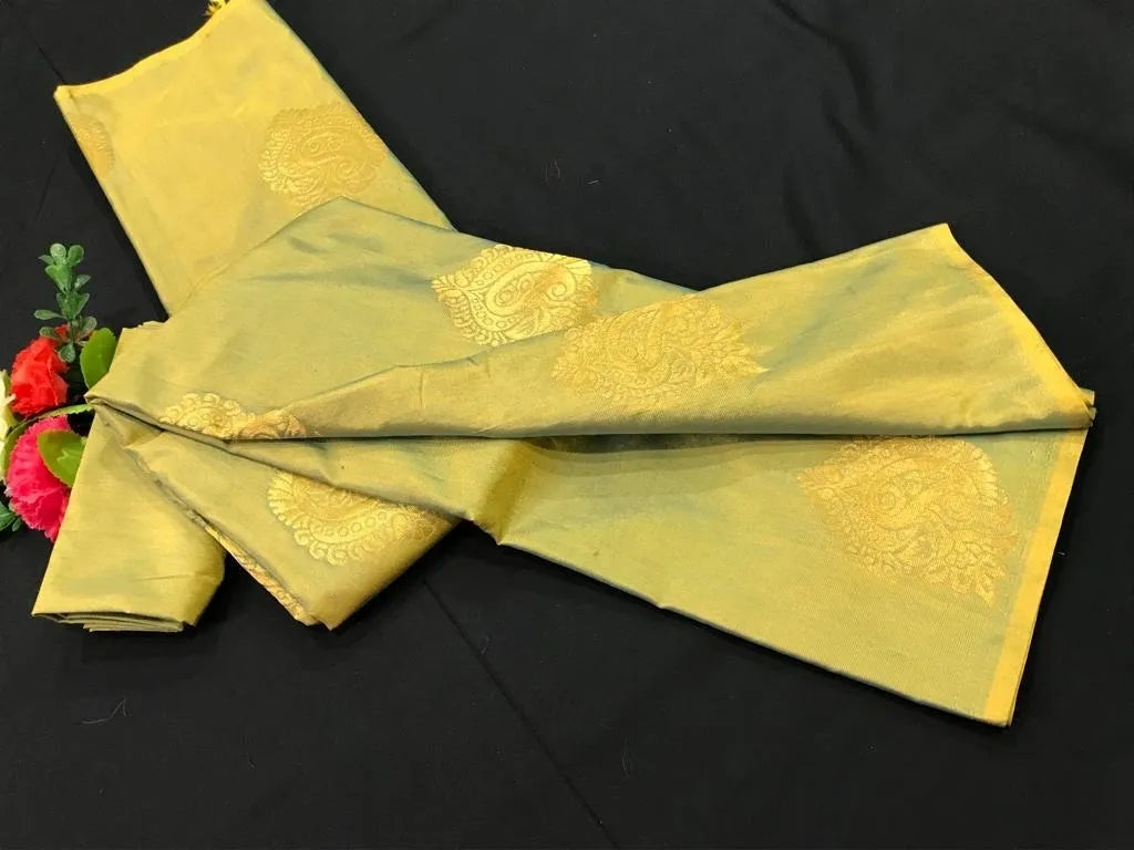 Borderless Two Tone Pure Kanchi Silk Saree With Gold Zari - SILKMARK CERTIFIED